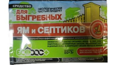 Photo of Что такое бактерии для септиков и почему их выбор важен