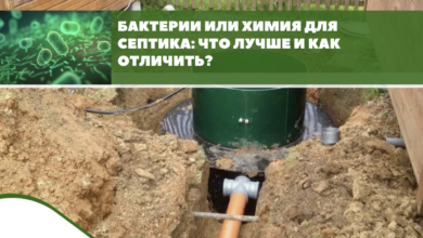 Photo of Преимущества использования бактерий в септиках